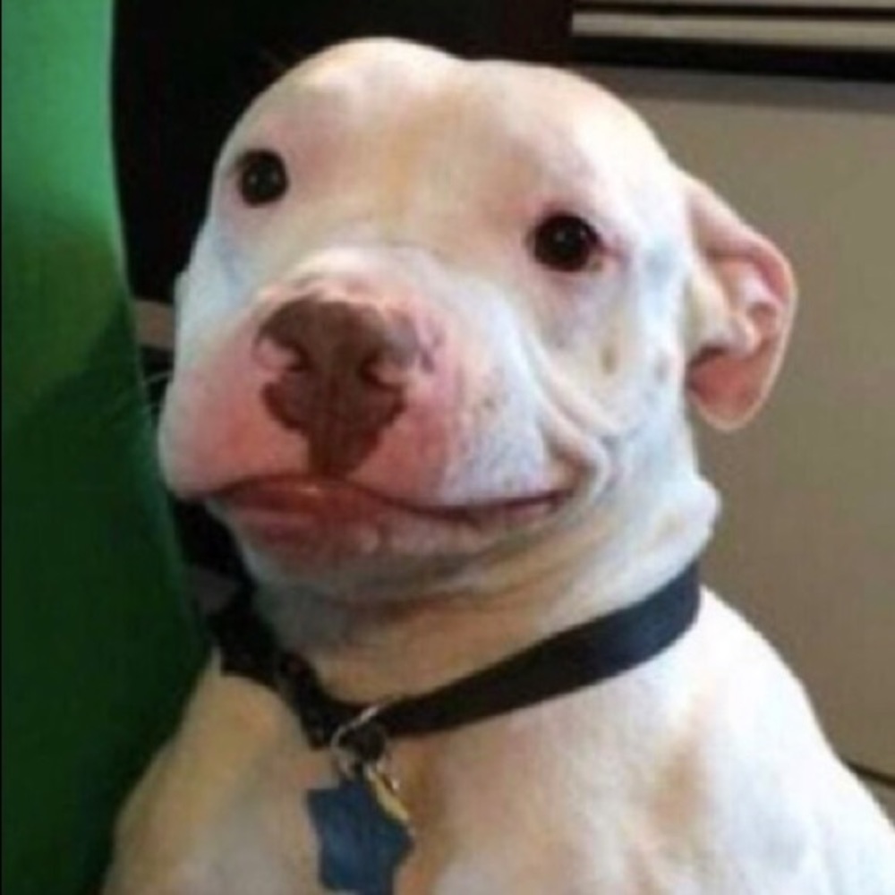 Meet your Posher, Nathan